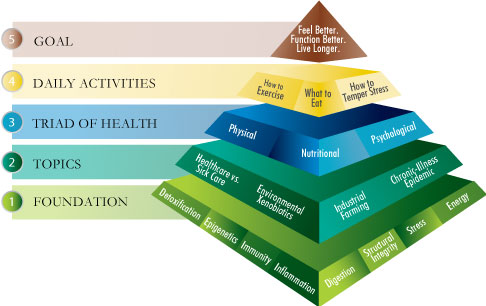 Pyramid of Health